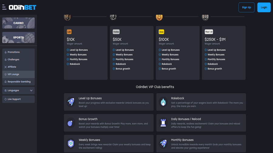 Screenshot of VIP of Odinbet Casino for Desktop
