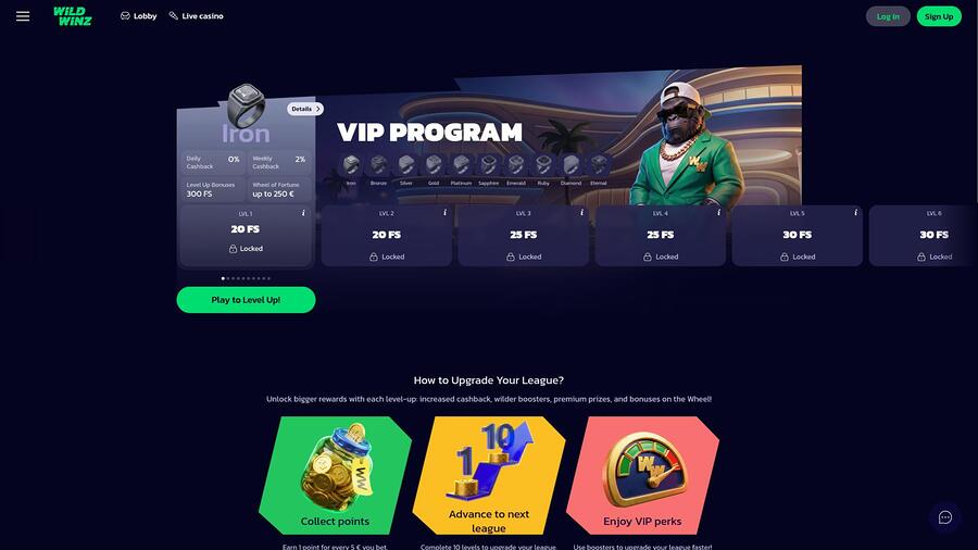 WildWinz Casino VIP page
