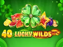 40 Lucky Wilds Hot screenshot