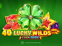 40 Lucky Wilds Hot Coin Boost screenshot