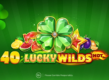 40 Lucky Wilds Hot Golden Coins Link screenshot