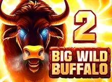 Big Wild Buffalo 2 screenshot