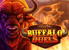 Buffalo Duels Screenshot