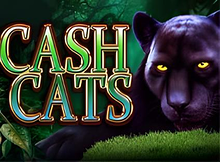 Cash Cats Screenshot