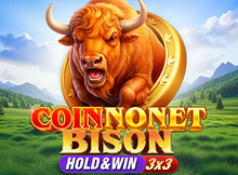 Coin Nonet Bison 3x3 Hold and Win Screenshot