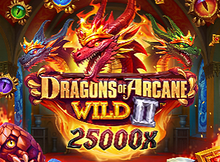 Dragons of Arcane Wild 2 Screenshot