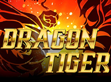 DragonTiger Screenshot
