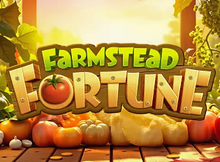 Farmstead Fortune Screenshot