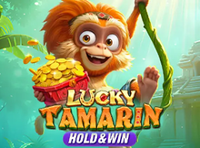 Lucky Tamarin Hold and Win Screenshot