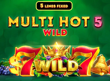 Multi Hot 5 Wild screenshot