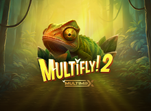 MultiFly 2 MultiMax Screenshot