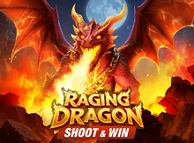 Raging Dragon Shoot and Win Screenshot