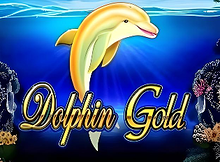 TTG Dolphin Gold Screenshot