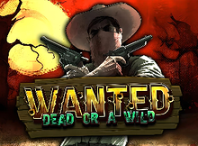 Wanted Dead Or A Wild Screenshot