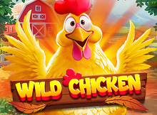 Wild Chicken Screenshot