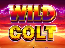 Wild Colt Screenshot