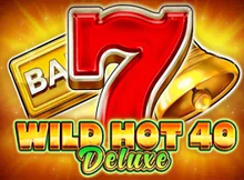 Wild Hot 40 Deluxe Screenshot