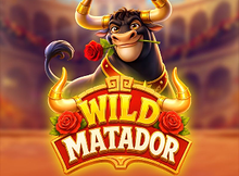 Wild Matador Screenshot